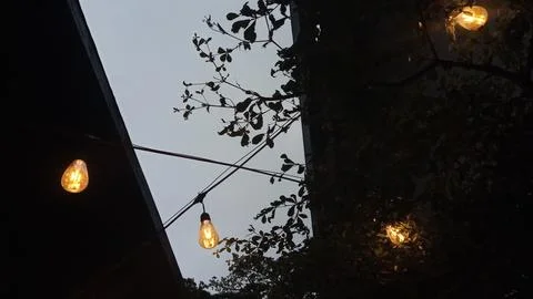 Vintage light bulbs on string wire against sunset sky Stock-Fotos