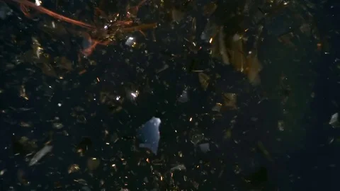 Vintage Lightbulb Shattering in Slow Motion 2000fps Stock Footage 84078024