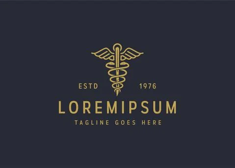 Vintage logo design vector line icon template Stock Illustration