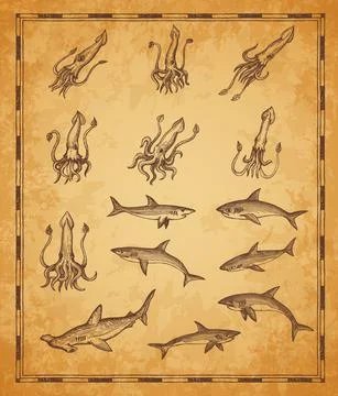 Vintage map elements with squids and sharks fishes Stock Illustration