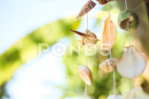Vintage mobile made from variety seashells. It's hang Stock Photos