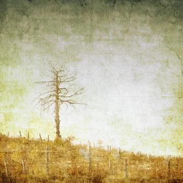 Vintage nature background with single tree Stock Illustration