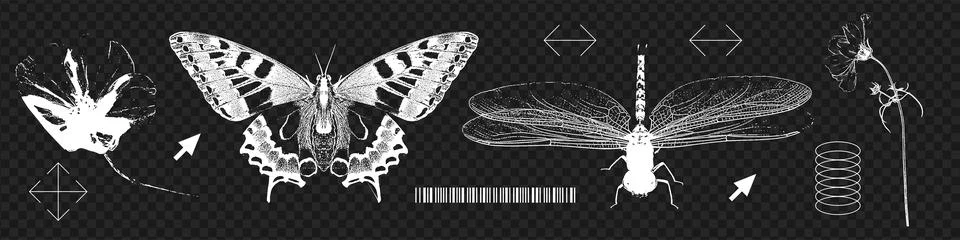 Vintage negative photocopy objects set, contemporary sticker design of dragonfly Stock Illustration