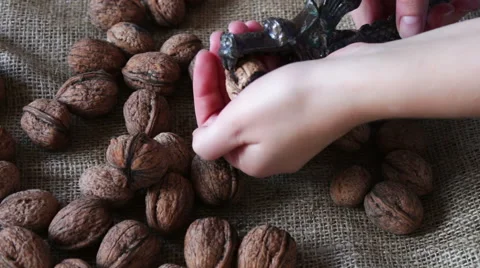 Vintage Nutcracker and walnuts Stock Footage 68525228