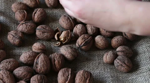 Vintage Nutcracker and walnuts Stock Footage 68525319