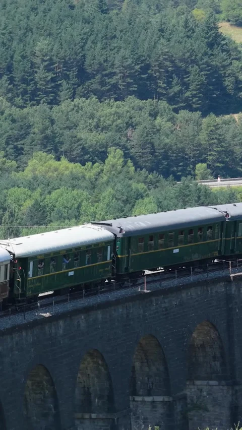 Vintage passenger train crossing an old stone viaduct. Vertical Stock Footage 334600394