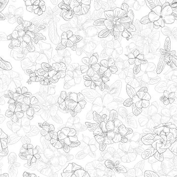 Vintage pattern with flowers on background. Wallpaper with flower texture. Black Stock Illustration