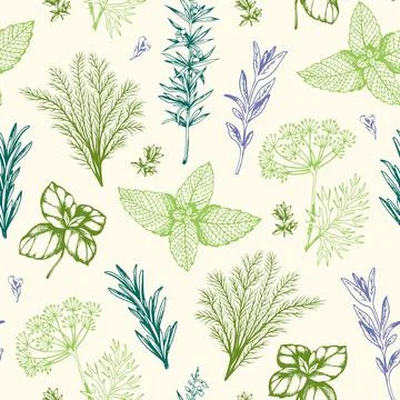 Vintage pattern with Provencal herbs 스톡 일러스트