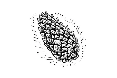 Vintage Pine Cone Vector: Hand-Drawn Illustration of Christmas Tree Decor. Stock Illustration