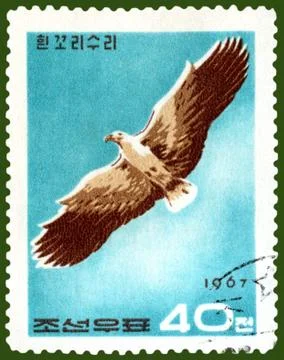 Vintage  postage stamp. Eagle in flight 写真素材