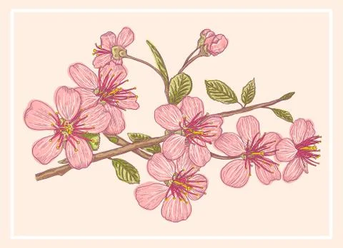 Vintage postcard with sakura. Illustrazione stock