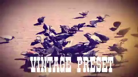 Vintage preset Stockmateriaal After Effects