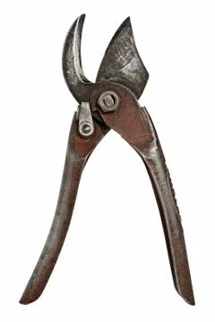 Vintage pruning shears Foto stock