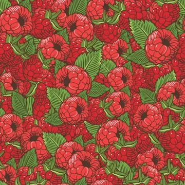 Vintage Raspberries Seamless Pattern 스톡 일러스트