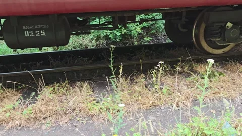 Vintage red train wheels rolling across narrow gauge railway track through lush 库存影片 315356314