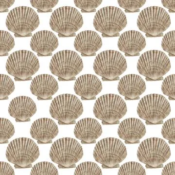Vintage regular seamless pattern with watercolor painted sea shells on pastel Stock Illustration