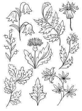Vintage retro floral elements. Vector illustration. Stock Illustration