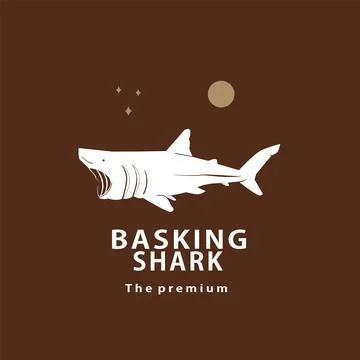 Vintage retro hipster basking shark logo vector outline silhouette art icon Stock Illustration