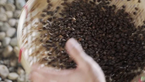 Vintage roasted coffee bean process Stock Footage 125785953