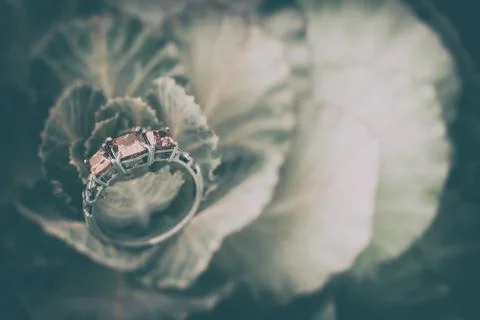 Vintage Ruby Ring 库存照片