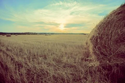 Vintage rustic haystack background against an emerald sky. Foto stock