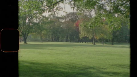 Vintage Scene of a Park with Trees Vidéo 208763416
