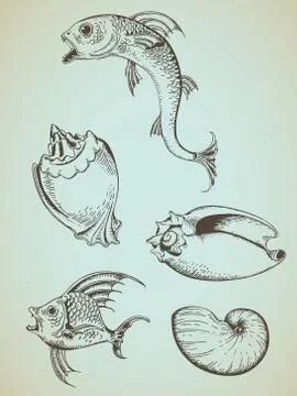 Vintage sea elements Stock Illustration