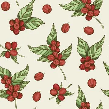 Vintage seamless pattern with coffee plant and coffee beans. Stock Illustration