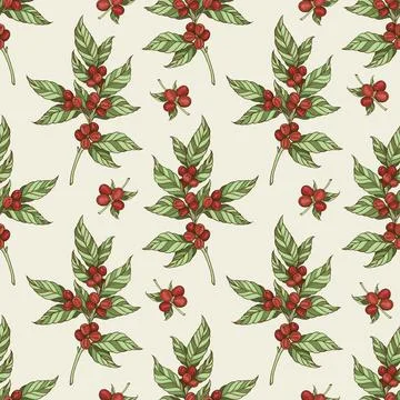 Vintage seamless pattern with coffee plant and coffee beans. Stock Illustration