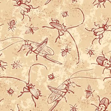 Vintage seamless pattern with different beetles Stock Illustration