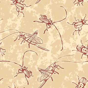Vintage seamless pattern with different beetles Stock Illustration