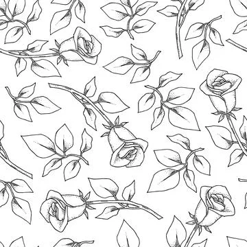 Vintage seamless pattern. Floral black and white background. Garden flowers Stock Illustration