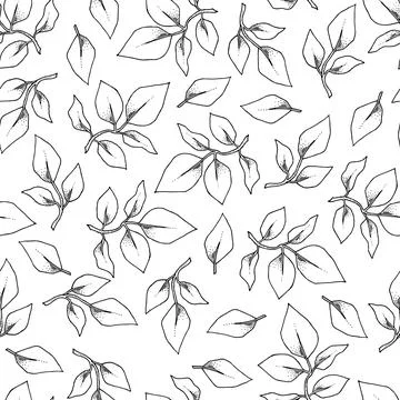Vintage seamless pattern. Floral black and white background. Garden flowers Stock Illustration