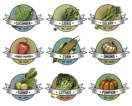 Vintage set of labels, emblems or logo for vegeterian food, vegetables hand Ilustração Stock