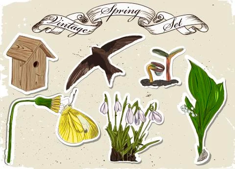 Vintage set of spring elements. Stock Illustration