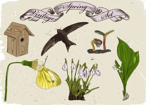 Vintage set of spring elements. Stock Illustration