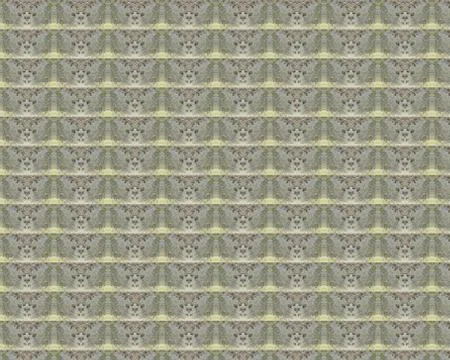 Vintage shabby background with classy patterns Stock Illustration