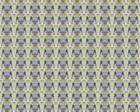 Vintage shabby background with classy patterns Stock Illustration