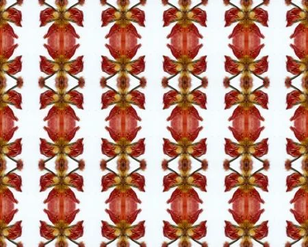 Vintage shabby background with classy patterns Illustrazione stock