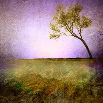 Vintage single tree Stock Photos