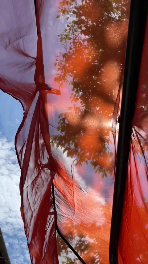 Vintage slow summer look of sunlight playing through windblown fabric canopy Stock Footage 344412088