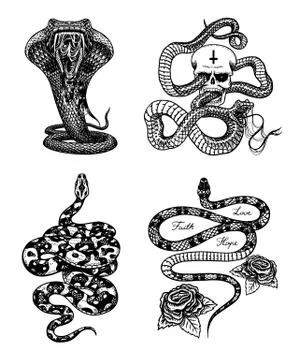 Vintage snake set. Royal python with skull and roses, milk reptile, venomous Stock-Illustration