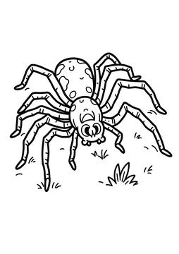 Vintage Spider Line Art Vector Illustration Stock Illustration