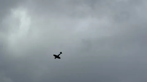 Vintage Spitfire Warbird Flying Through Overcast Sky at Gold Coast Air Show Stock Footage 345099896