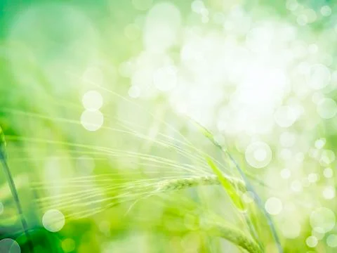 Vintage spring background Stock Illustration