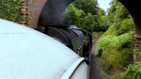 Vintage steam train passing under bridge in countryside Stock Footage 80281684