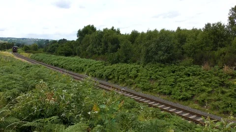 Vintage steam train producing smoke travelling through countryside Stock Footage 80304915