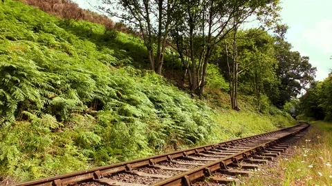 Vintage steam train producing smoke travelling through countryside Stock Footage 80318067