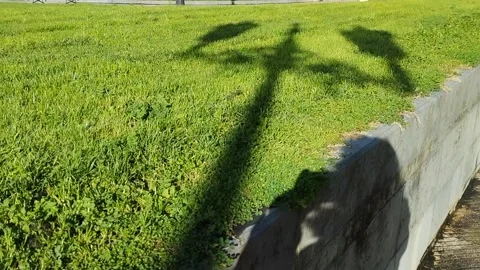 Vintage Street Lamp Casting Shadows on Green Meadow Blending Nature Urban Charm Stock Footage 302895334