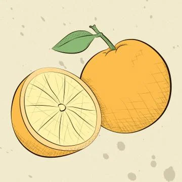Vintage Style Oranges Illustrazione stock